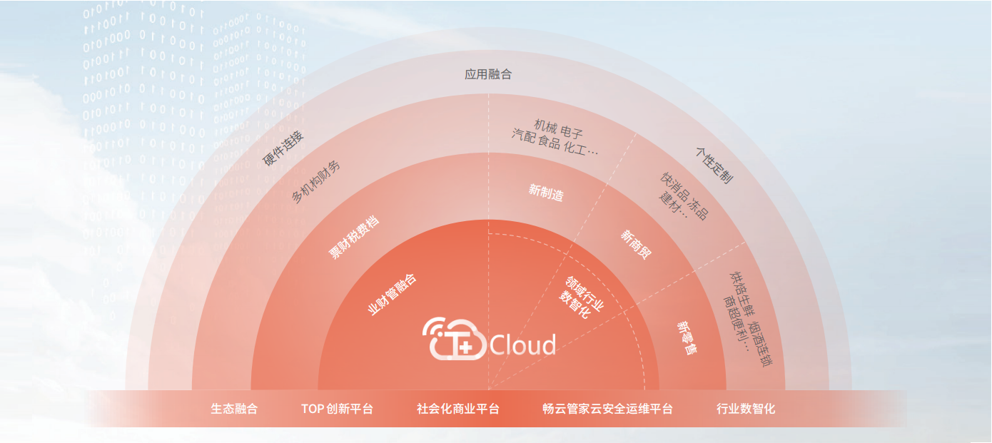 TC详情页3数智平台扇形.png